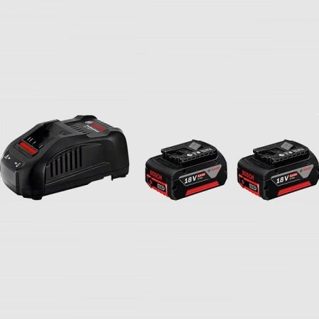 18V Battery Pack & Quick Charger Starter Set - 2 x GBA 18V 6.0Ah + GAL 1880 CV